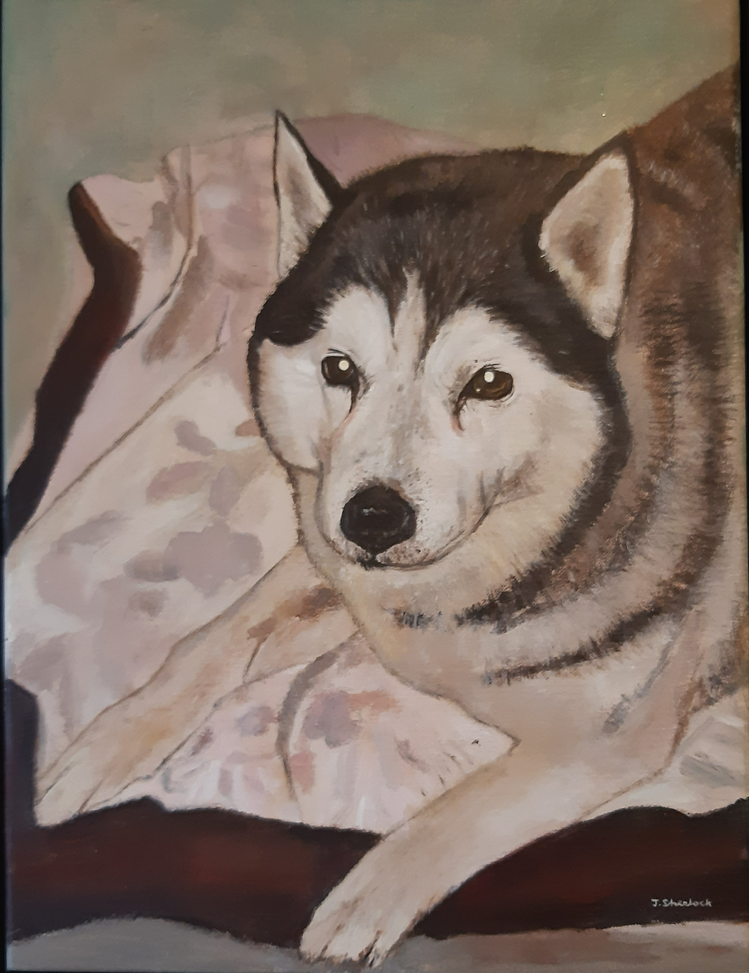 oil portrait husky